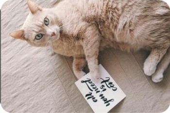 信用卡逾期催收怎么辦？怎么應(yīng)對(duì)催收？