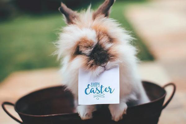 信用卡過(guò)期了還能用嗎