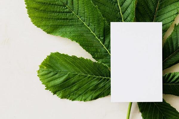 信用卡分期實(shí)際利率計(jì)算器工具怎么算？利率多少合適？
