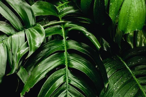 興業(yè)消費(fèi)金融還款方式？分期還款利息多少？