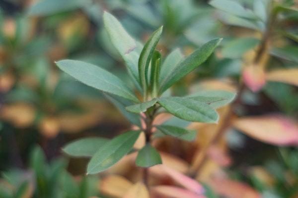 拍拍貸利息太高可以拒絕還款嗎？還款延期方式有哪些？