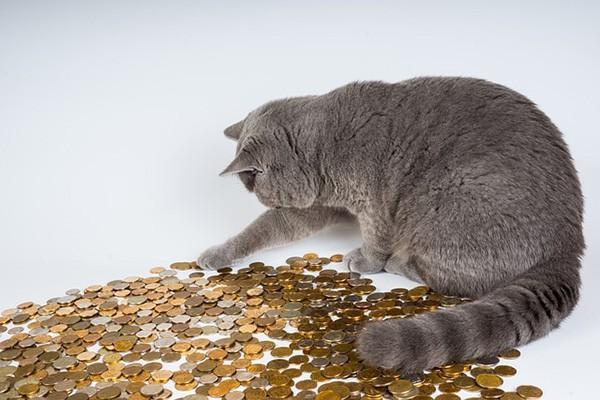 怎么跟分期樂(lè)協(xié)商還本金呢？協(xié)商還本金話術(shù)有哪些？