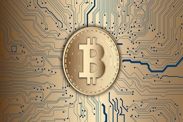 白條借1000一個(gè)月利息多少？還款方式有哪些？