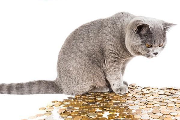 招聯(lián)金融逾期兩個月怎么樣？后果有這些