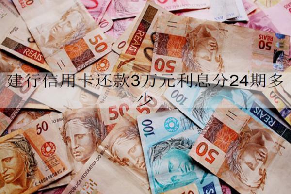 建行信用卡還款3萬元利息分24期多少？詳細利息分析