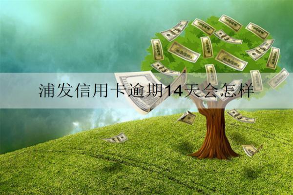 浦發(fā)信用卡逾期14天會怎樣？如何挽救？