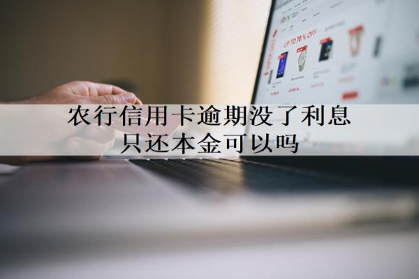 農(nóng)行信用卡逾期沒了利息只還本金可以嗎？農(nóng)行信用卡減免政策解析
