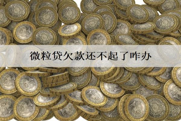 微粒貸欠款還不起了咋辦？微粒貸欠款還不起解決方案分析