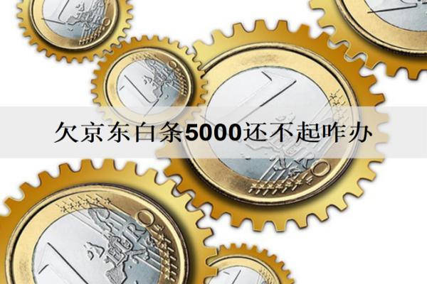 欠京東白條5000還不起咋辦？會被起訴嗎？