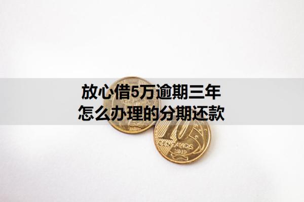 放心借5萬逾期三年怎么辦理的分期還款？詳細(xì)分期步驟分析