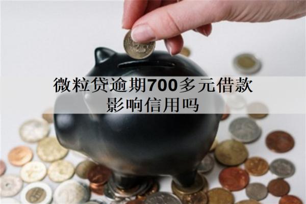 微粒貸逾期700多元借款影響信用嗎？如何避免出現(xiàn)逾期的情況？
