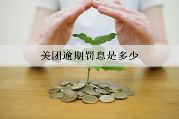 美團逾期罰息是多少？具體罰息收取情況分析