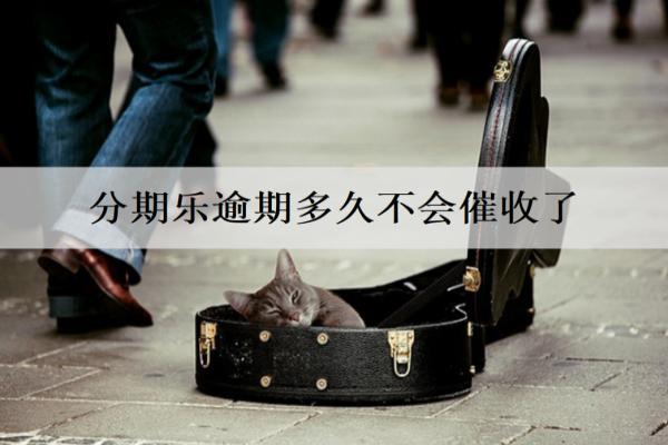 分期樂逾期多久不會(huì)催收了？怎么解決最好？