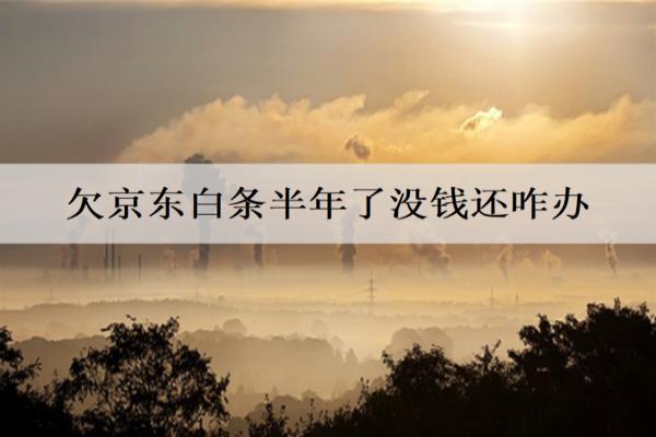 欠京東白條半年了沒錢還咋辦？會坐牢嗎？