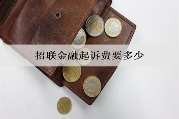 招聯(lián)金融起訴費要多少錢？