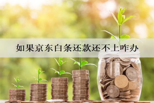 如果京東白條還款還不上怎么辦？