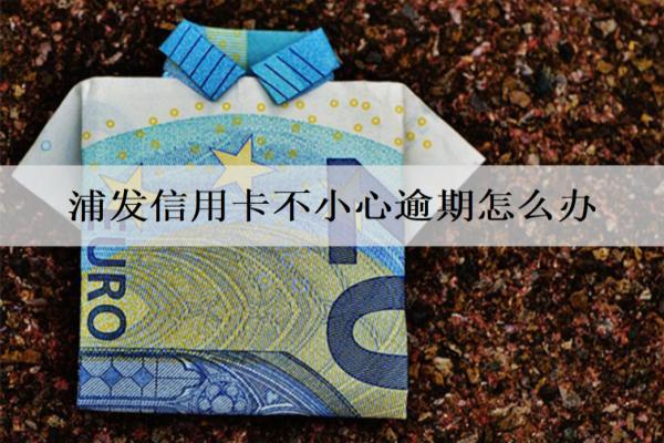 浦發(fā)信用卡不小心逾期怎么辦？有這幾個(gè)解決辦法