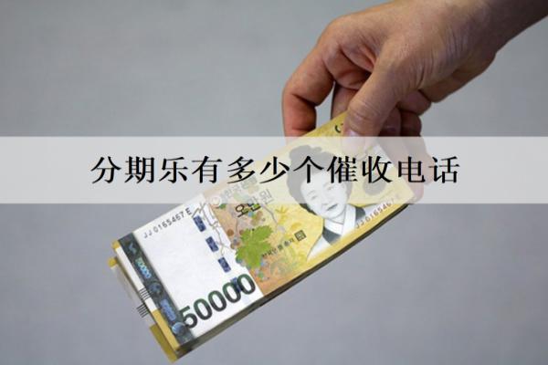 分期樂有多少個催收電話？