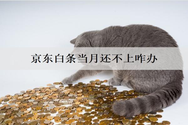 京東白條當(dāng)月還不上咋辦？三個解決辦法