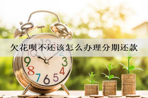 欠花唄不還該怎么辦理分期還款？辦理步驟介紹