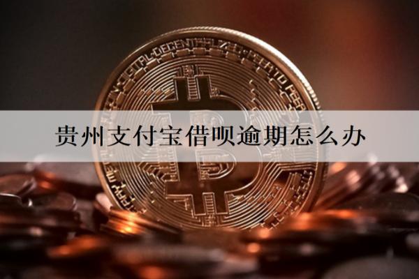 貴州支付寶借唄逾期怎么辦？會有什么后果？