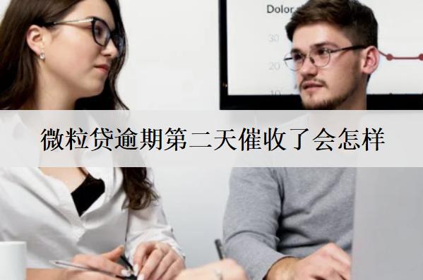 微粒貸逾期第二天催收了會(huì)怎么樣？怎么辦？