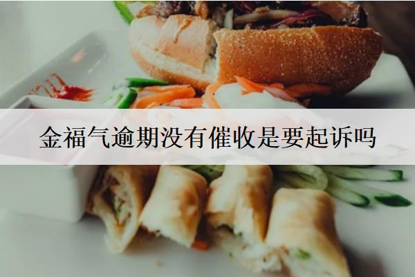 金福氣逾期沒有催收是要起訴嗎？起訴會怎樣？