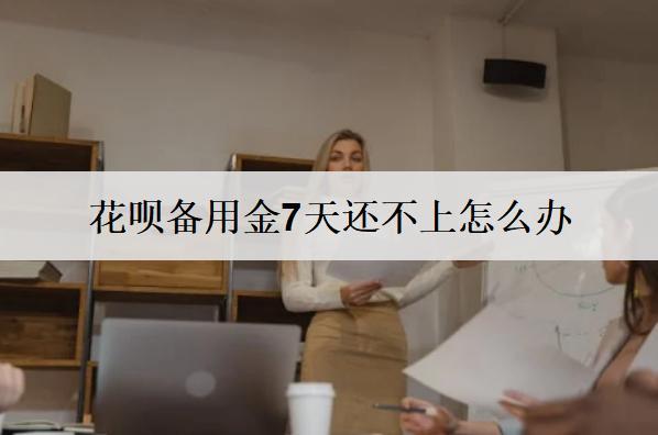 花唄備用金7天還不上怎么辦？可以這么辦