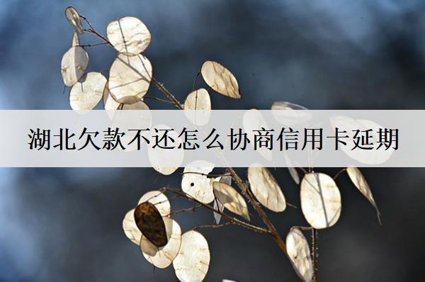 湖北欠款不還怎么協(xié)商？詳細(xì)協(xié)商流程分享