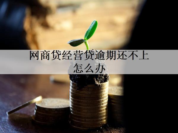 網(wǎng)商貸經(jīng)營貸逾期還不上怎么辦？分享四個(gè)解決辦法