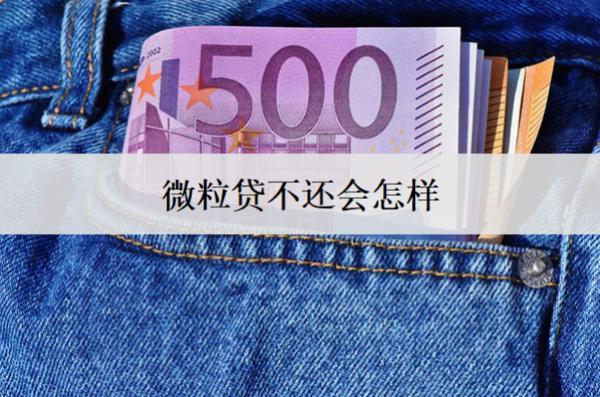 微粒貸不還會(huì)怎樣？會(huì)面臨這些后果