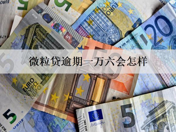 微粒貸逾期一萬(wàn)六會(huì)怎樣？會(huì)上門(mén)催收嗎？