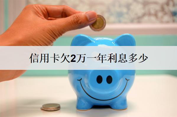 信用卡欠2萬(wàn)一年利息多少？能協(xié)商只還本金嗎？