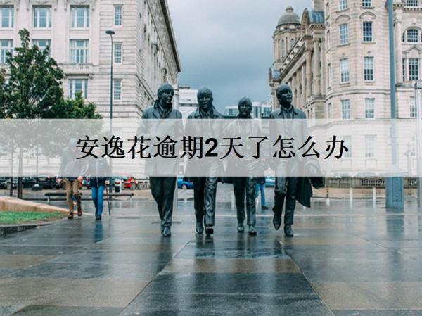 安逸花逾期2天了怎么辦？安逸花逾期應(yīng)對(duì)策略