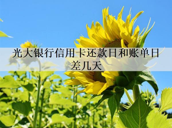 光大銀行信用卡還款日和賬單日差幾天？信用卡還款方式匯總