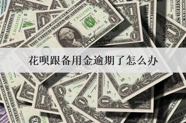 花唄跟備用金逾期了怎么辦？花唄跟備用金逾期解決辦法及后果
