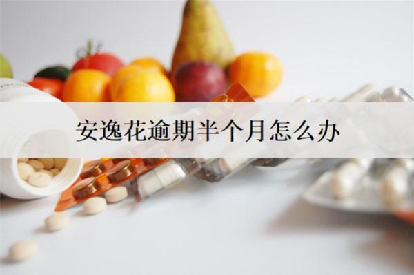 安逸花逾期半個月怎么辦？有什么后果？
