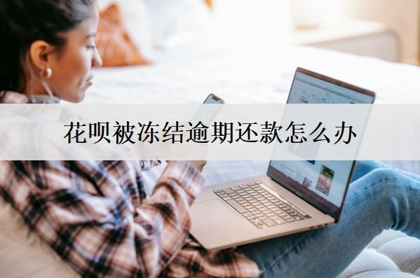 花唄被凍結(jié)逾期還款怎么辦？原因是什么？
