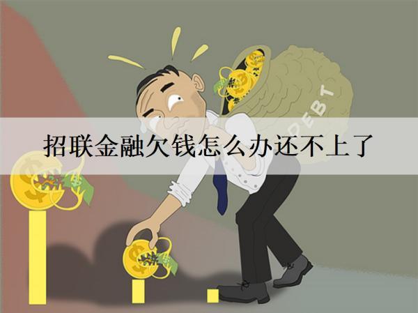 招聯(lián)金融欠錢怎么辦還不上了？逾期會怎樣嗎？