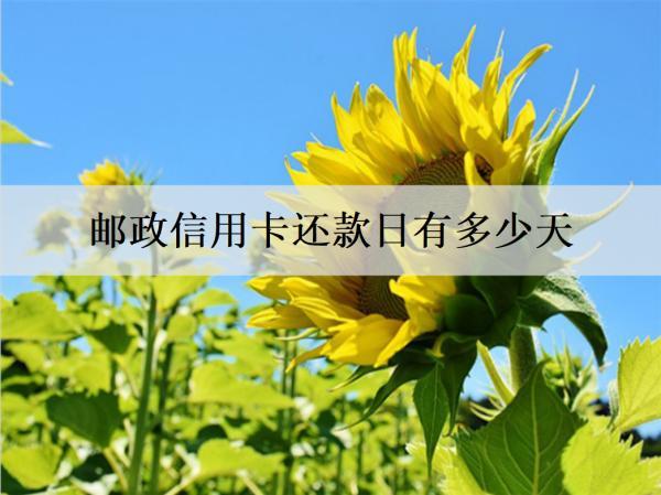 郵政信用卡還款日有多少天？20天，且還有4天容時(shí)服務(wù)
