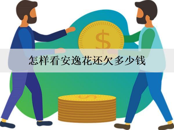 怎樣看安逸花還欠多少錢？欠錢逾期會怎樣？