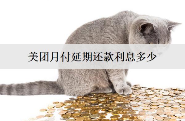 美團(tuán)月付延期還款利息多少？延期還款受什么因素影響？