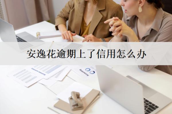 安逸花逾期上了信用怎么辦？安逸花逾期上信用解決辦法及影響