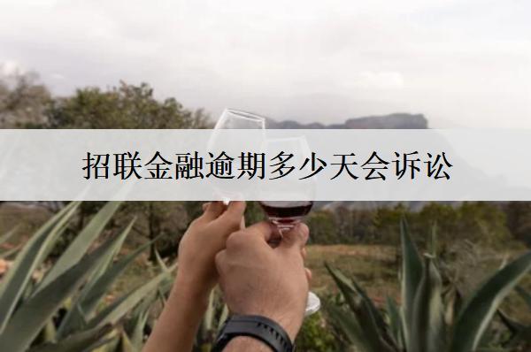 招聯(lián)金融逾期多少天會訴訟？起訴我了該怎么解決？