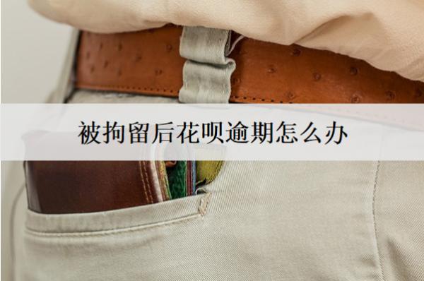 被拘留后花唄逾期怎么辦？被拘留后花唄逾期詳細(xì)處理辦法解析