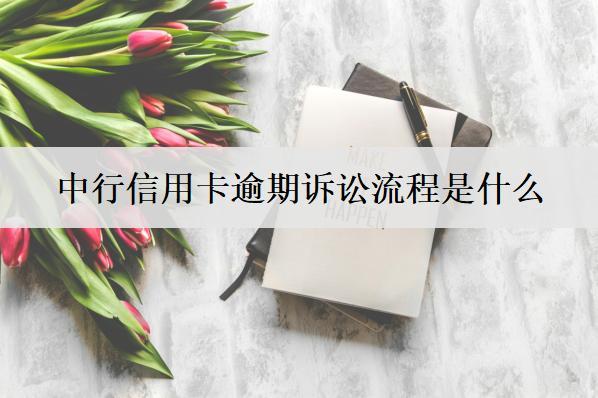 中行信用卡逾期訴訟流程是什么？介紹信用卡逾期詳細(xì)訴訟流程