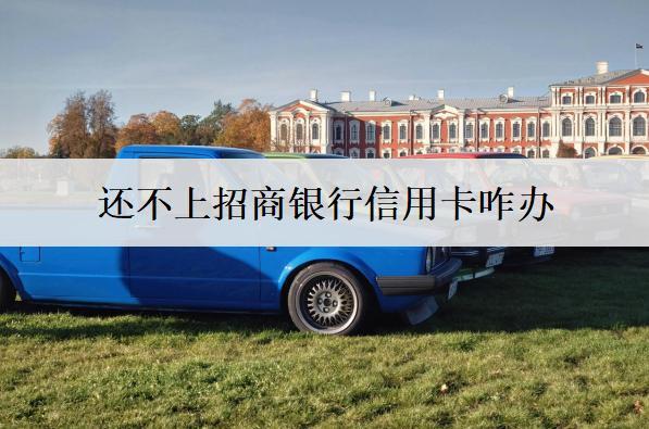 還不上招商銀行信用卡咋辦？信用卡還不上處理辦法及后果分析