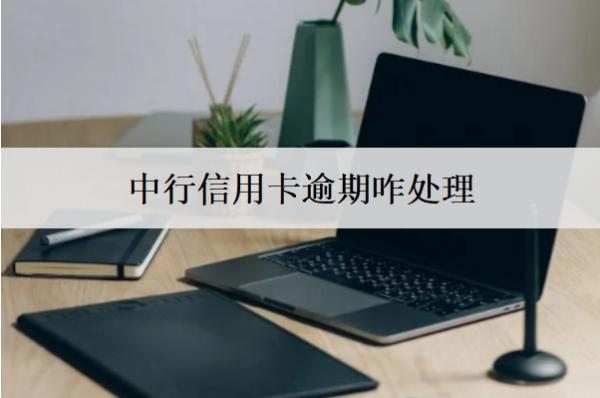 中行信用卡逾期咋處理？中行信用卡逾期處理方法解析