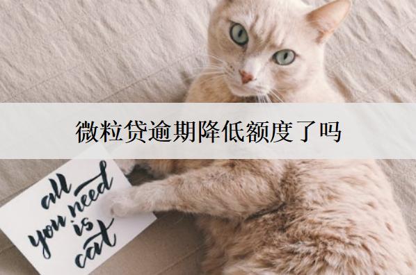 微粒貸逾期降低額度了嗎？微粒貸逾期被降額處理辦法