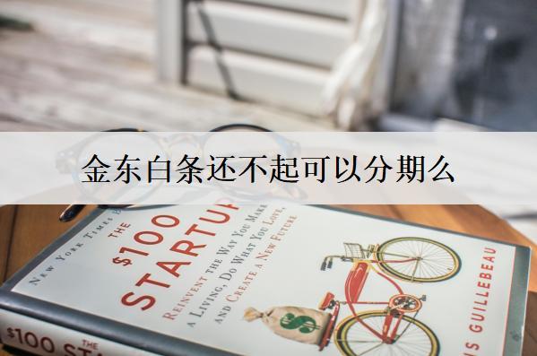 京東白條還不起可以分期么？分期好嗎？